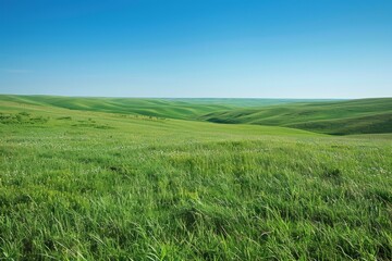 Green rolling hills under blue sky