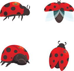 Ladybird icons set cartoon vector. Various cartoon bright red ladybug. Nature, insect
