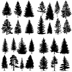 black tree silhouette set pure badge eco outline recreation breath emblem label protection graphic pine trunk woodland