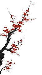 PNG  Plum blossom branch nature flower plant.