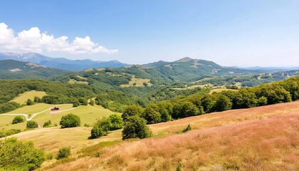 Fototapeta premium A Beautiful Wide Shot Of The Nature In Summer