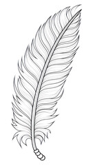 PNG Feather sketch drawing white.