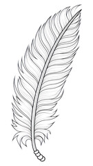 Fototapeta premium PNG Feather sketch drawing white.