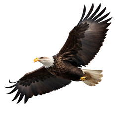 Eagle isolated on a transparent background