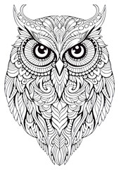 Obraz premium PNG Owl sketch doodle drawing.