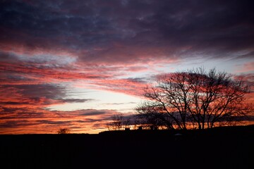 Fototapeta premium sunset in the forest