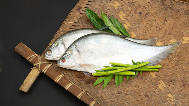 Foli fish or notopterus featherback fish on Bamboo tray with curry leaves. Bronze featherback. pond fish, Phouli.