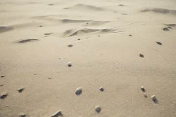 footprints in sand