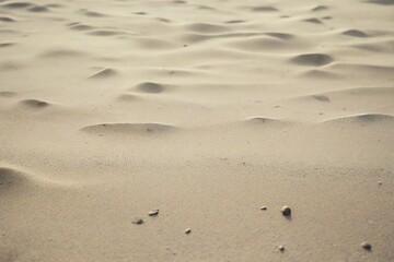 footprints in the sand