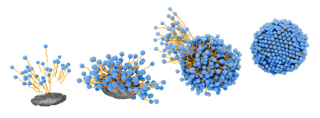 Soap molecules surrounding and capturing dirt forming a micelle structure. The hydrophobic tail is attracted to grease, oily substances and the hydrophilic head is attracted to water. 3d illustration