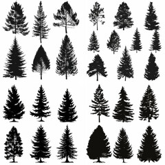 black tree silhouette set pure badge eco outline recreation breath emblem label protection graphic pine trunk woodland