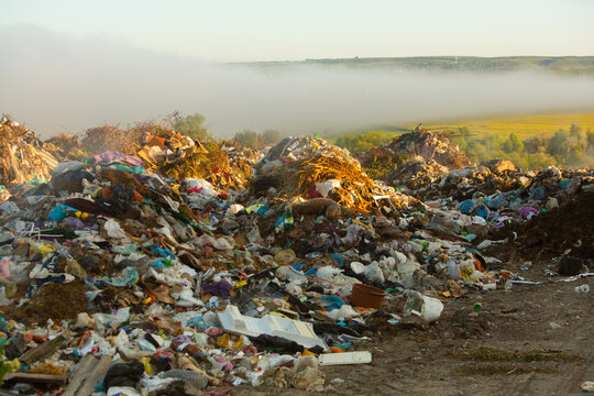 Pile of garbage in the forest. The concept of environmental pollution.