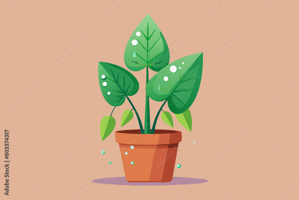 Poster flat vector illustration of a simple houseplant with dew drops on its leaves.