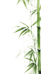 PNG  Bamboo leaves backgrounds plant branch.