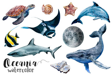 A set of watercolor paintings showcasing oceanic organisms in shades of azure, blue, and electric blue. Each fish, fin, and organism is beautifully captured in aqua hues, creating stunning art. PNG