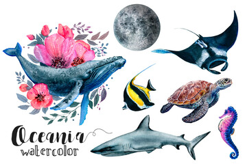A set of watercolor paintings showcasing oceanic organisms in shades of azure, blue, and electric blue. Each fish, fin, and organism is beautifully captured in aqua hues, creating stunning art/ PNG