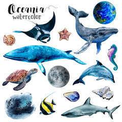 A set of watercolor paintings showcasing oceanic organisms in shades of azure, blue, and electric blue. Each fish, fin, and organism is beautifully captured in aqua hues, creating stunning art. PNG