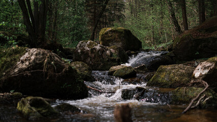 Mountain stream in the forest. Shallow depth of field.