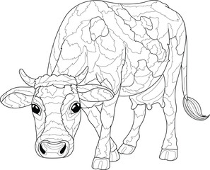 Cow Outline Vector Illustration. Zentangle Cow Outline Illustration. Black and White Line Drawing Cow. Cow Coloring Page For Adults. Hard Cow Coloring Page.