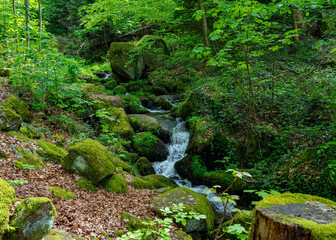 The Gaish&ouml;ll waterfalls near Sasbachwalden in the Black Forest. Baden Wuerttemberg, Germany, Europe.