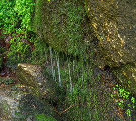 The Gaishöll waterfalls near Sasbachwalden in the Black Forest. Baden Wuerttemberg, Germany,...