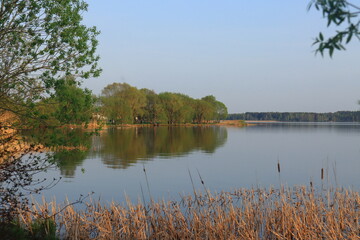 reflection of trees in the lake