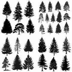 black tree silhouette set pure badge eco outline recreation breath emblem label protection graphic pine trunk woodland