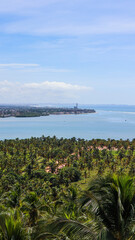 Visão aérea do coqueiral próximo a praia do Gunga em Alagoas