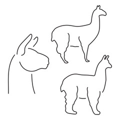 Obraz premium lama group of black icons on a white background. Vector illustration.