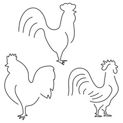 rooster group of black icons on a white background. Vector illustration.