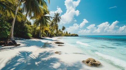 Beach landscape with sand and coconut palms