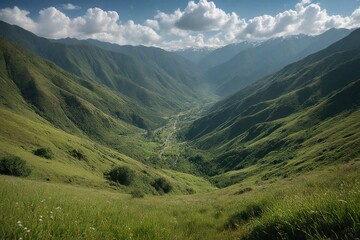 Obraz premium landscape in summer
