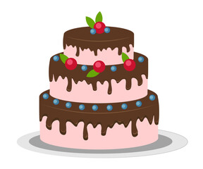 Cake with chocolate icing on white background