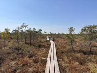 bridges on bolted trails
