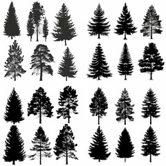 black tree silhouette set pure badge eco outline recreation breath emblem label protection graphic pine trunk woodland