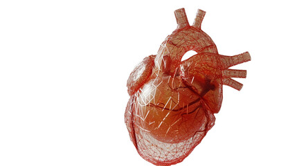 A 3D wireframe heart model isolated on transparent background. 