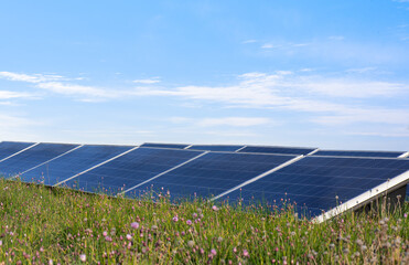 Solar panels against the background of the sky and green grass
