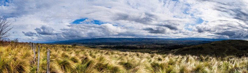 Cloudy Mountain Pines: A Panoramic View