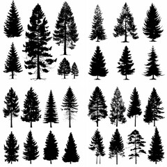 black tree silhouette set pure badge eco outline recreation breath emblem label protection graphic pine trunk woodland