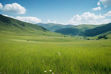 Fototapeta premium landscape with lake