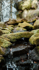 Mossy stones in a stream in the forest. Selective focus.