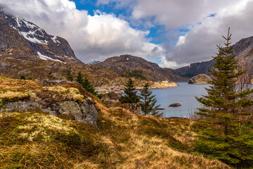 lofoten islands: early summer landscape  during a cloudy day