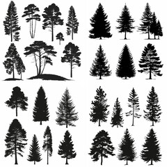 Obraz premium black tree silhouette set pure badge eco outline recreation breath emblem label protection graphic pine trunk woodland