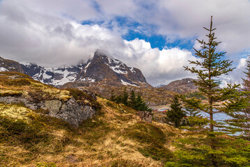 lofoten islands: early summer landscape  during a cloudy day