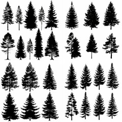 black tree silhouette set pure badge eco outline recreation breath emblem label protection graphic pine trunk woodland