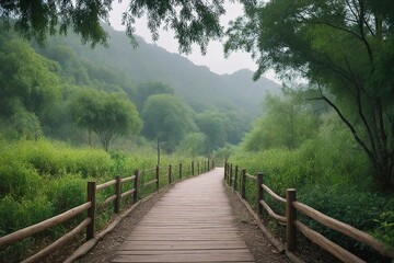 Fototapeta premium wooden bridge in the woods