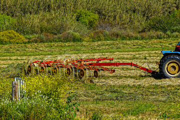 Tractor pulling a red wheel hay rake in a field in a river valley in the Little Karoo near...