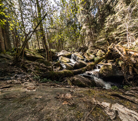 Mountain stream in the forest with rocks and moss on the ground