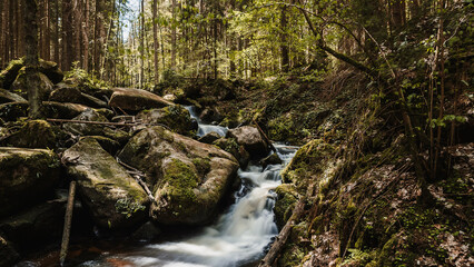 Mountain stream in the forest with rocks and lichen in the foreground