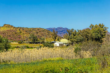 Old farmhouse and buildings near the Doring river with rocky hill and mountains in the Little Karoo near Oudtshoorn, Western Cape, South Africa